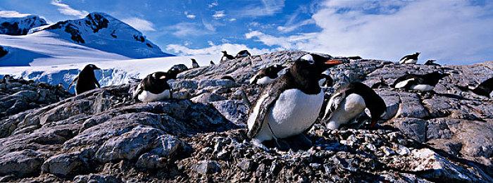 《潜行者2》海量新细节：没有升级系统 故事取决于你的选择