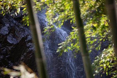 《战锤40K：暗潮》封测启动 实机演示视频欣赏